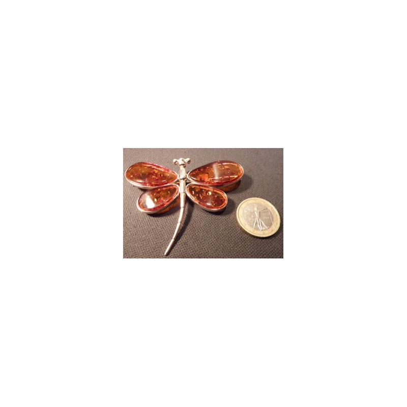 broche libellule en ambre