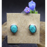 Turquoise and Silver Stud Earings