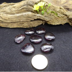 Polished Garnet Pebble