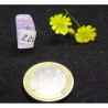 Kunzite, Pierre Violette du Pakistan