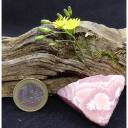 Rhodocrosite d'Argentina