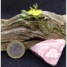 Rhodocrosite d'Argentina