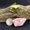 Rhodocrosite from Argentina
