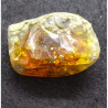 Precious Opale from Ethiopia