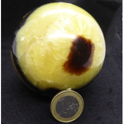 Boule en Septaria