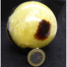 Boule en Septaria