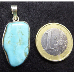 Pendentif en Turquoise de Qualité
