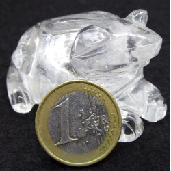 Rock Crystal Frog