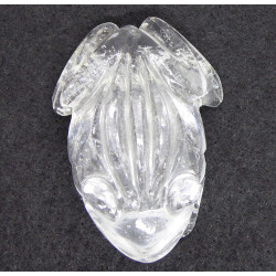 Rock Crystal Frog