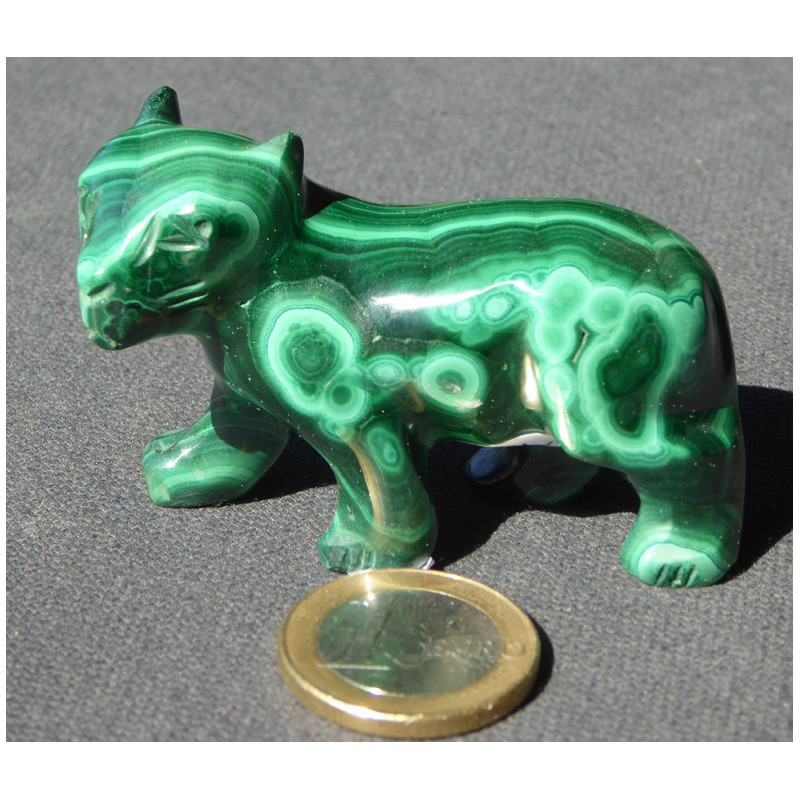panthère malachite