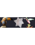  Objets déco de qualité