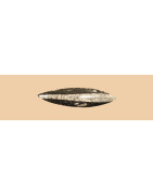  ORTHOCERAS Fossiles fossile orthocéras orthocéras