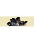 Quartz Fumé