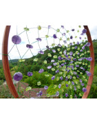 Dreamcatcher Big Size